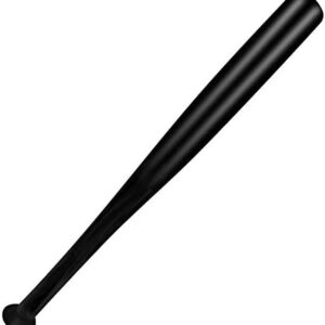 INNOLIFE Sports Basher Alloy Steel Baseball Bat 21"