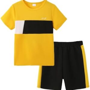 Boy Clothes Kids Boy's Summer Outfits Shorts Sleeve Crewneck T Shirt Tops Tees Shorts Sets Boy's 2 Piece Outfits